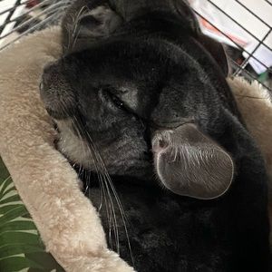 Meet your Posher, Travis